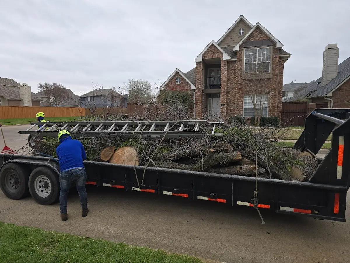 Expert Tree Fertilization with proper safety equipment in Binger